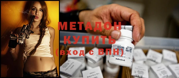 прущие грибы Медвежьегорск