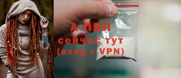 прущие грибы Медвежьегорск