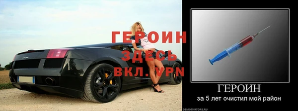 прущие грибы Медвежьегорск
