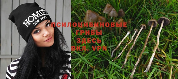 винт Медногорск