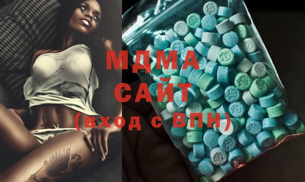 прущие грибы Медвежьегорск