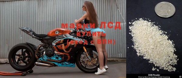 амф Мегион