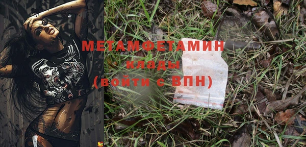прущие грибы Медвежьегорск