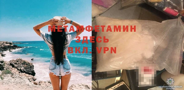 прущие грибы Медвежьегорск