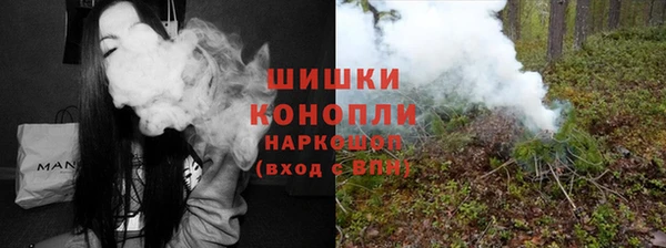 амф Мегион