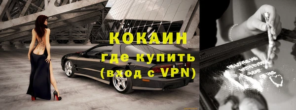прущие грибы Медвежьегорск