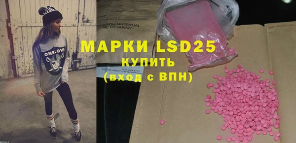 прущие грибы Медвежьегорск