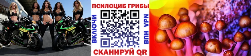 Псилоцибиновые грибы Cubensis  даркнет состав  Чердынь 